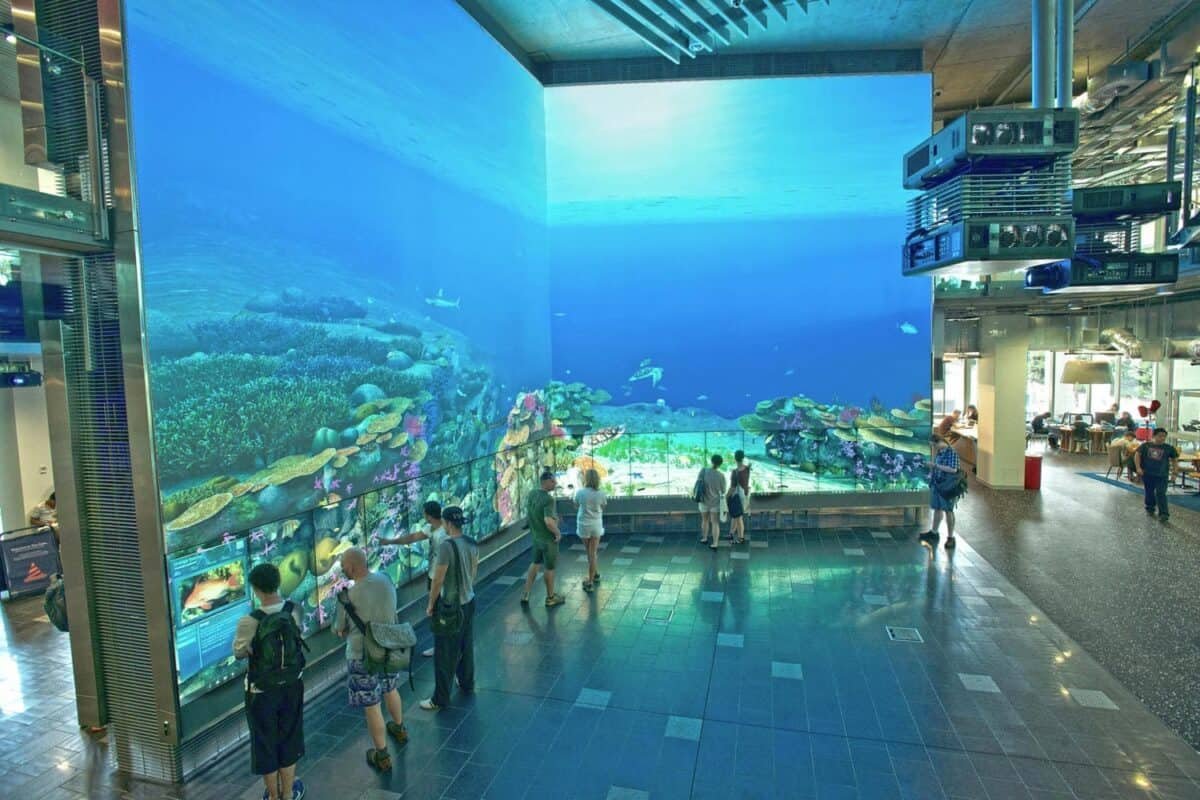 giai phap ghep nhieu may chieu Panasonic